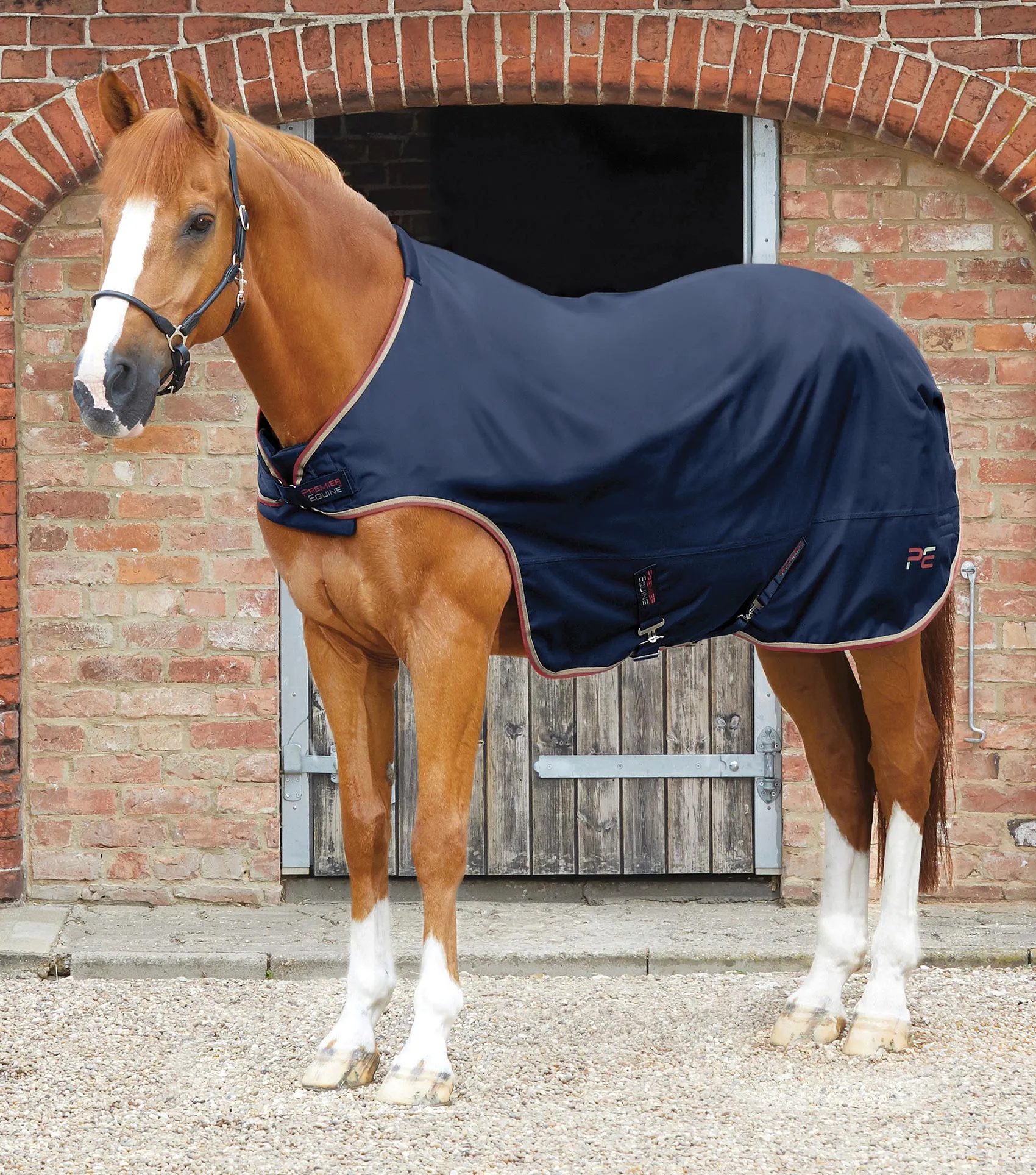 Horse Walker Rug 0g Navy